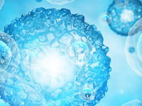 自然周期