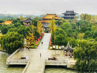 靖江 (靖江试管婴儿)